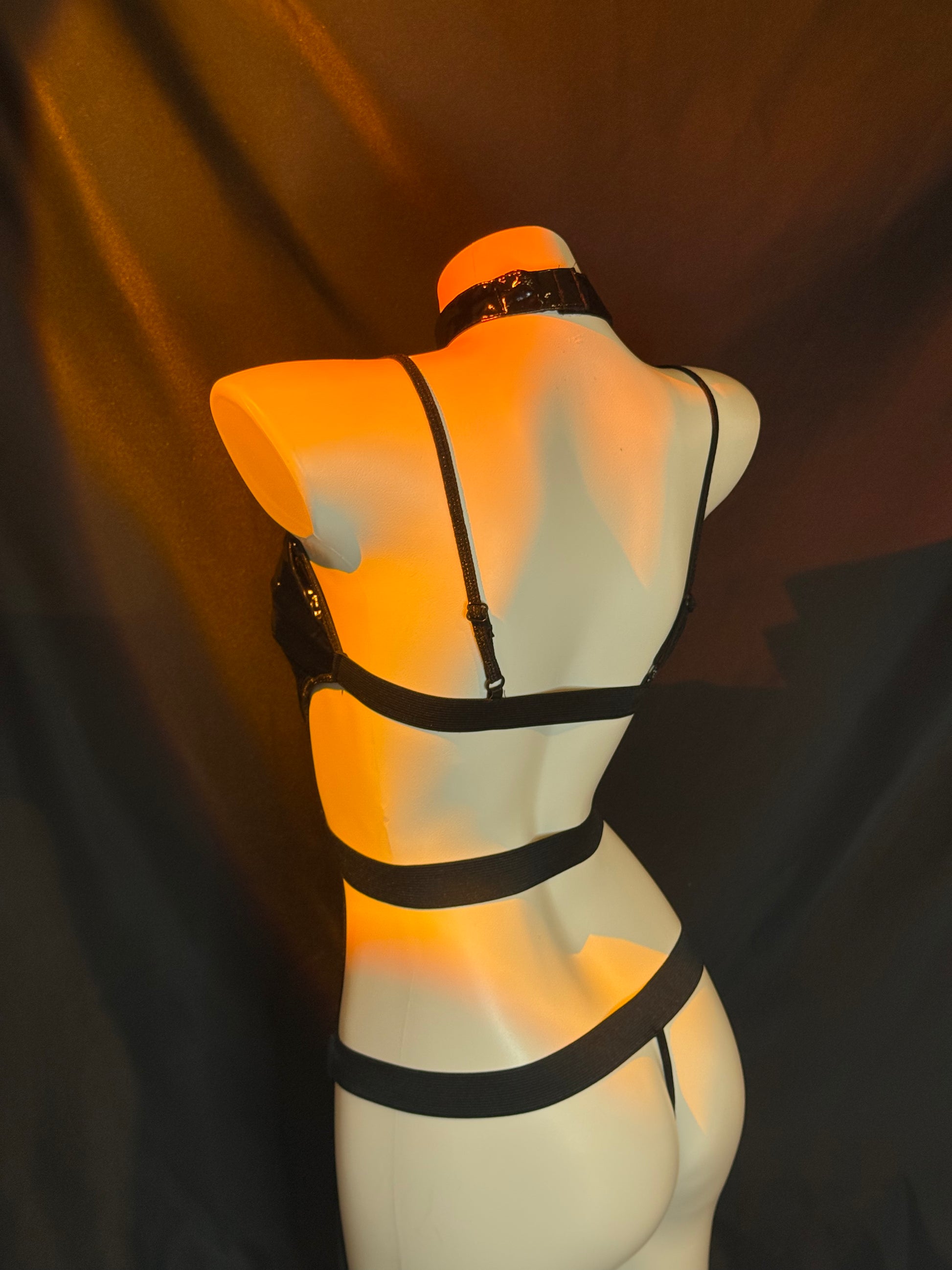 Braroo Faux Leather Harness Teddy Lingerie Set with Leash & Zipper Front – Fetish Biker-Inspired Bodysuit